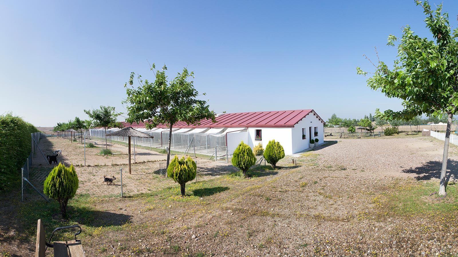 La finca del Centro Canino Brunete: la casa, los boxes y los parques entre árboles