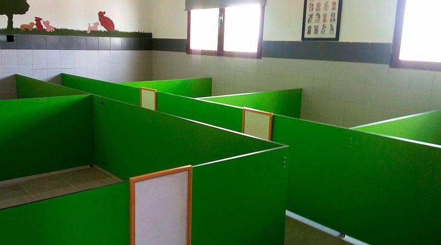 Habitación climatizada de razas pequeñas con boxes individuales