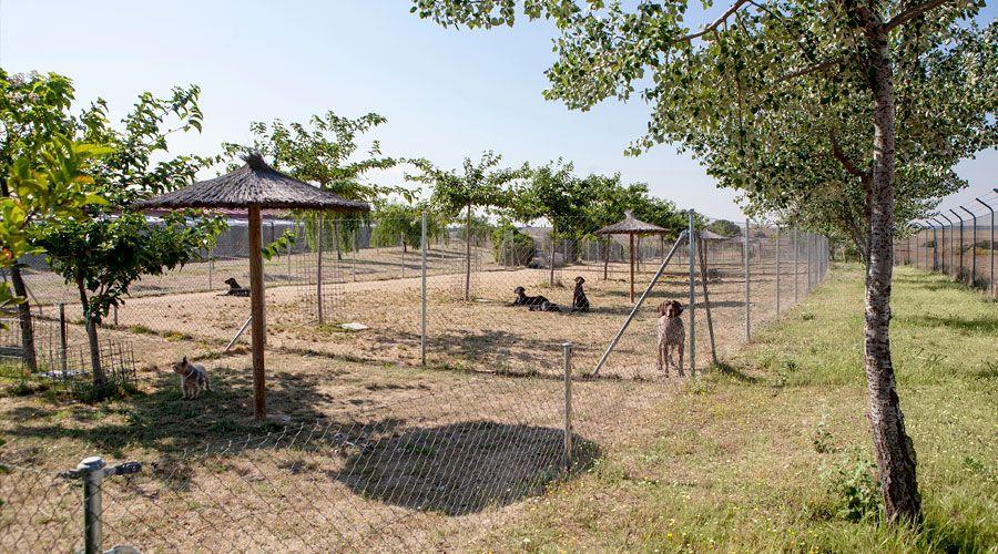 Parque de recreo con árboles y sombrillas
