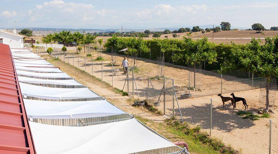 Vista de los parques de recreo junto a los boxes